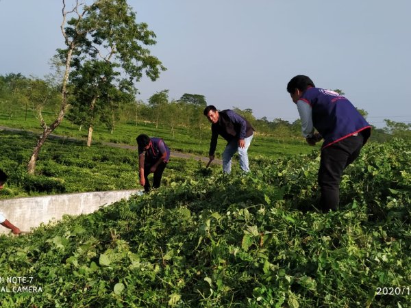 Cleanliness Drive at the  Maidam